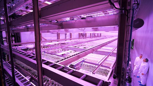 A vertical farming facility improves eco-friendliness by recycling energy
