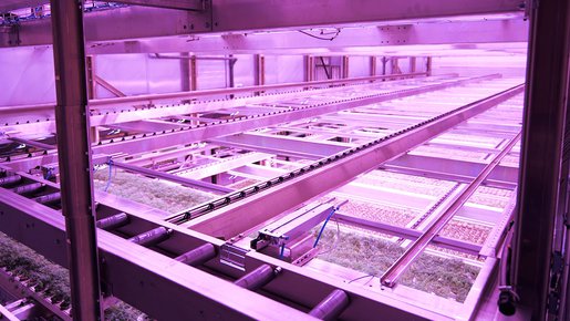 A vertical farming facility improves eco-friendliness by recycling energy